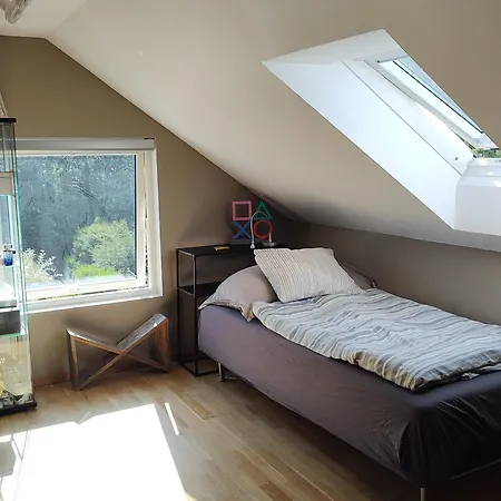 Soverom I Enebolig *